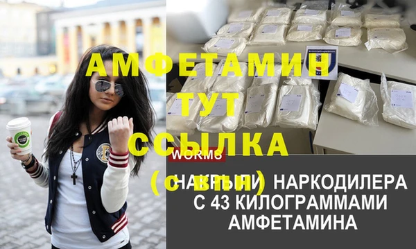 ГАЛЛЮЦИНОГЕННЫЕ ГРИБЫ Балахна
