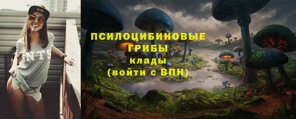 дживик Балабаново