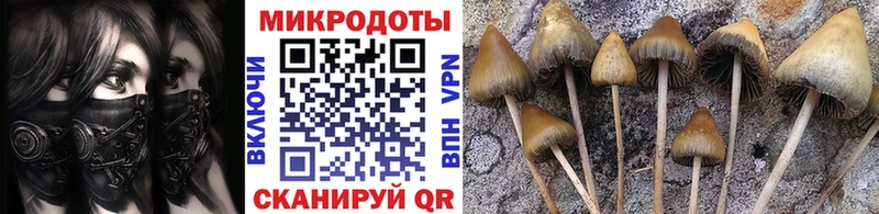 Псилоцибиновые грибы мицелий  Мураши 