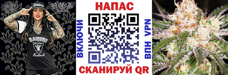 купить наркотик omg зеркало Бошки Шишки SATIVA & INDICA мориарти состав Мураши